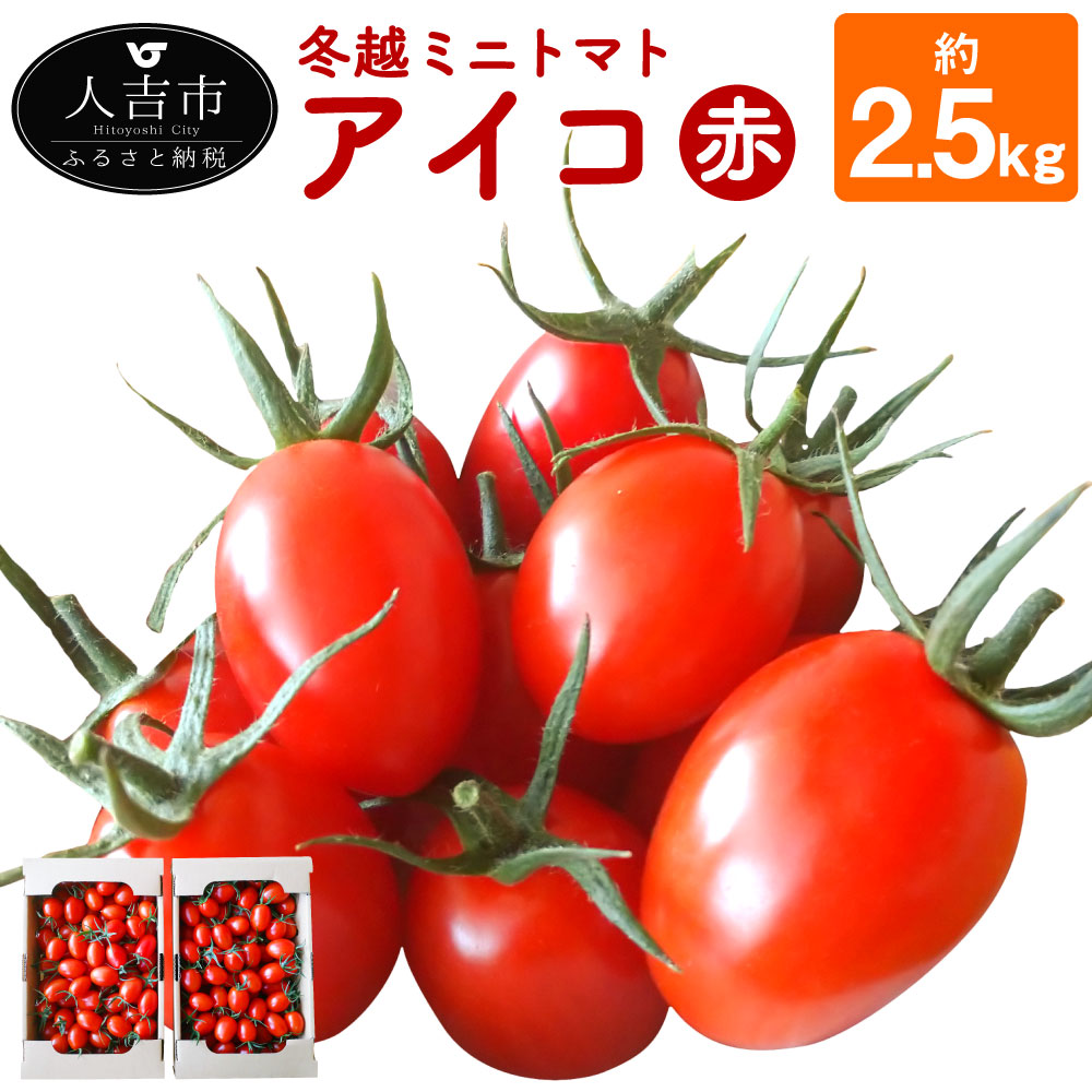 公式 楽天市場 ふるさと納税 冬越ミニトマト アイコ 赤 約2 5kg 2箱 ミニトマト トマト とまと 野菜 熊本県産 九州産 送料無料 熊本県人吉市 第1位獲得 Lexusoman Com