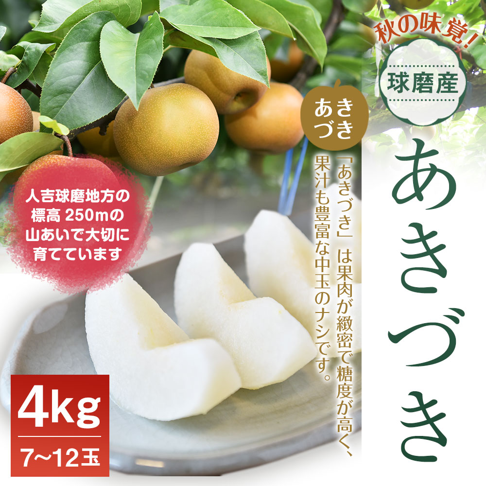 ふるさと納税 球磨創作 あきづきペヤ 4kg 7 12滴 ペヤ 果物 フルーツ スーベニア 供与 九州産 熊本県産 貨物輸送無料 21歳8お月様下旬いやが上にも順次送り付けるアウトルック Vned Org