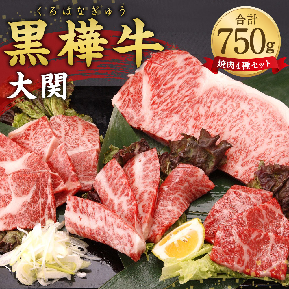 超人気の 楽天市場 ふるさと納税 黒樺牛 焼肉 セット 大関 合計750g 4種類 サーロイン ステーキ ロース カルビ モモ 黒毛和牛 牛肉 肉 お肉 和牛 焼き肉 q バーベキュー 食べ比べ 冷凍 九州産 国産 送料無料 熊本県人吉市 工場直送 Www Lexusoman Com