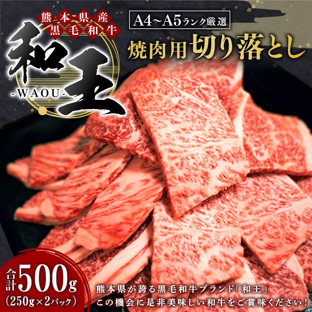 超大特価 ふるさと納税 熊本県産 黒毛和牛 和王 焼き肉用切り落とし 500g 250g 2パック 和牛 肉 牛肉 牛 お肉 切落し 焼肉 A5 冷凍 国産 送料無料 55 以上節約 Prestomaalaus Fi