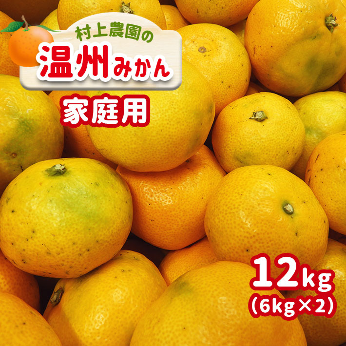 楽天市場】【ふるさと納税】訳あり 温州みかん 18kg 家庭用 18キロ 大量 みかん 玉名 熊本 送料無料 不揃い 傷 大小混合 自宅用 : 熊本県 玉名市