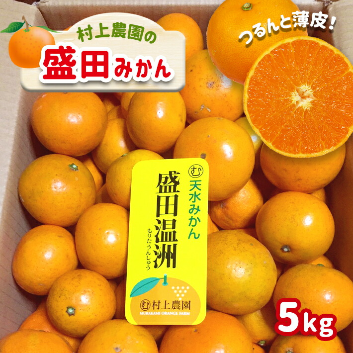 楽天市場】【ふるさと納税】訳あり 温州みかん 18kg 家庭用 18キロ 大量 みかん 玉名 熊本 送料無料 不揃い 傷 大小混合 自宅用 : 熊本県 玉名市