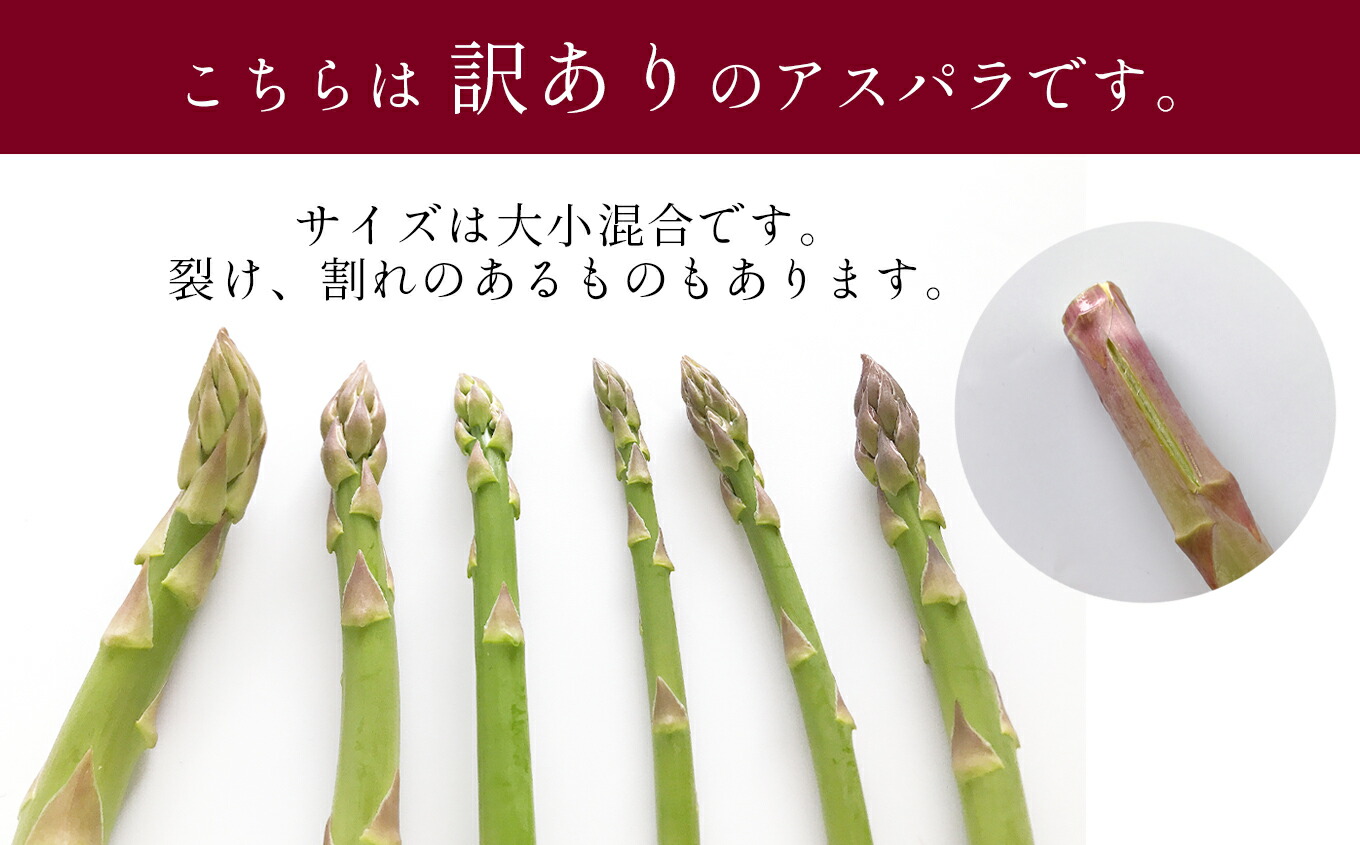 ふるさと納税 アスパラガス アスパラ 野菜 家庭用 産地直送 生産者直送 大小混合 1 5キロ 1 5kg 玉名 熊本 送料無料 Sermus Es