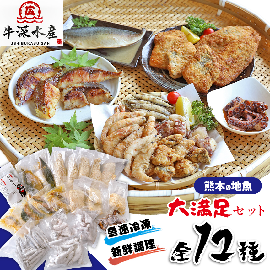 ふるさと納税 魚u3000冷凍食品u3000アジフライu3000フライu3000簡単調理u3000揚げ物u3000竜田揚げu3000唐揚げu3000西京 焼きu3000鯛u3000タコu3000ブリu3000白エビu3000全12種類u3000送料無料 Highsoftsistemas Com Br