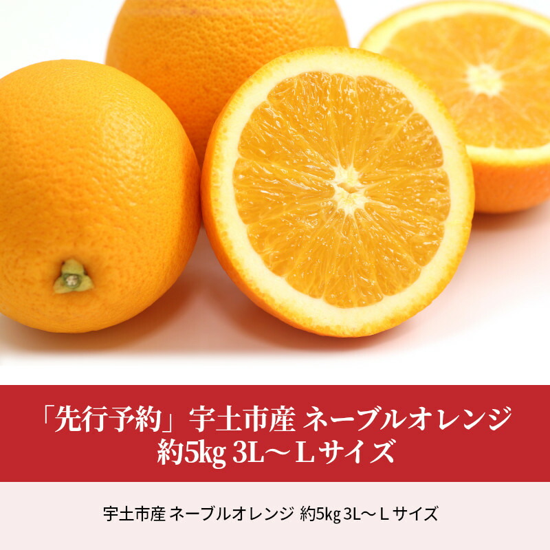 約5kg 果汁たっぷり高糖度 宇土市産ネーブルオレンジ オレンジ 先行予約 宇土市産 ネーブルオレンジ 3l ｌサイズ ネーブルオレンジ 熊本県宇土市 ふるさと納税 フルーツ 果物 熊本県宇土市