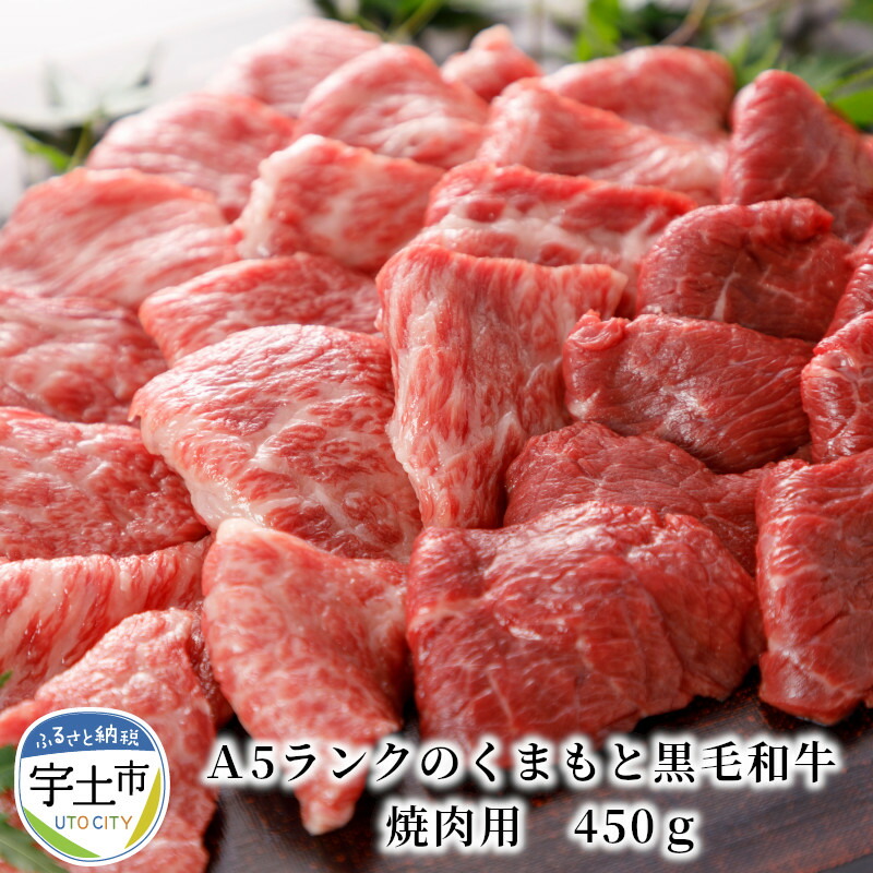 楽天市場】【ふるさと納税】肉三代目 熊本県産和牛 あか牛 ロースステーキ500g 定期便6回【熊本県宇土市】 : 熊本県宇土市