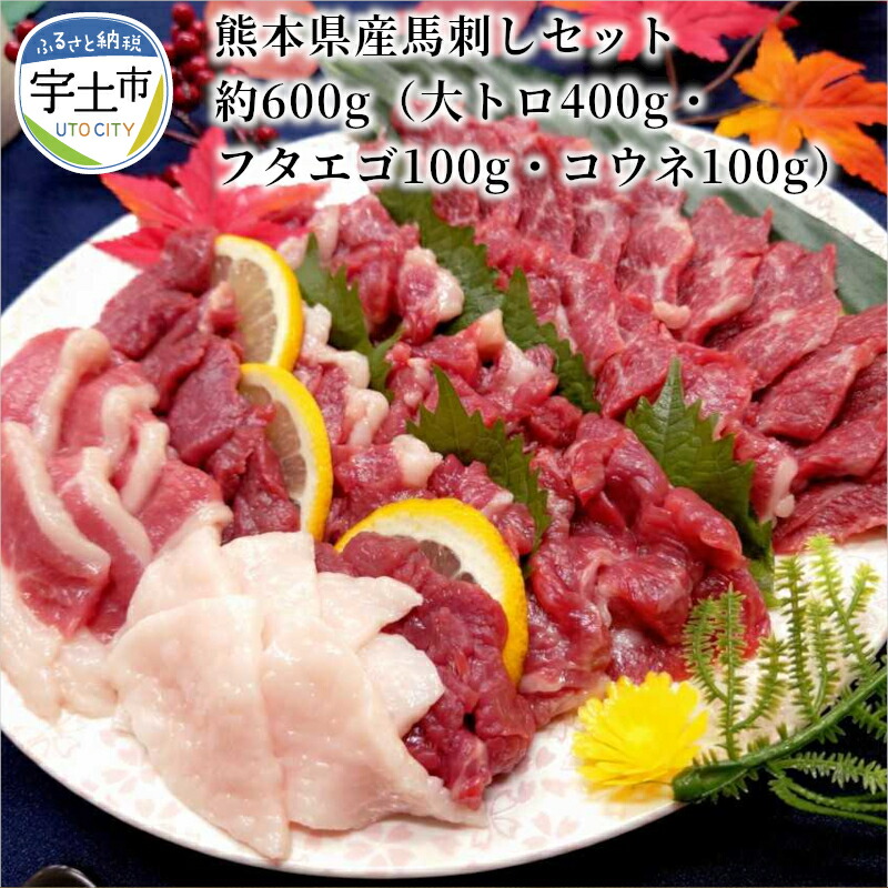 3000円 格安店 ふるさと納税 宇土市 馬刺し5種バラエティーセット約500g B-