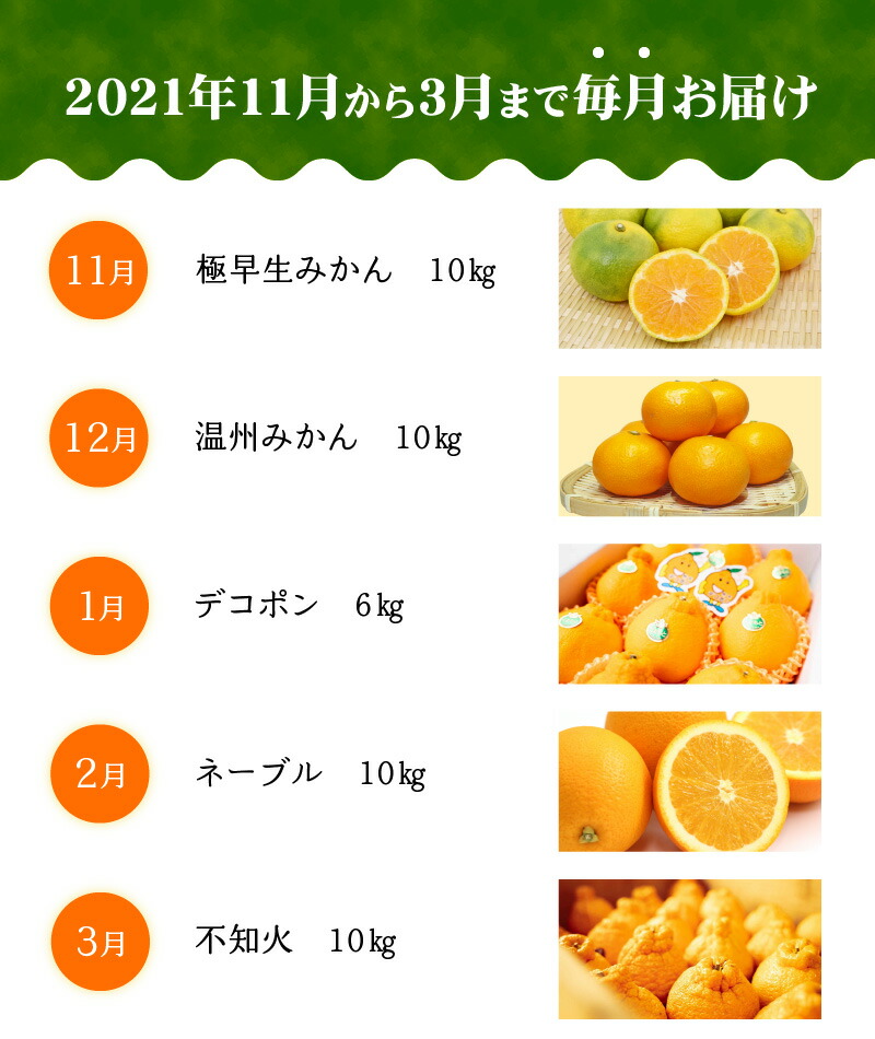 新品 ふるさと納税 宇土市産 柑橘定期便ｂ 2021年11月より5ヶ月連続発送 熊本県宇土市 100 安心保証 Www Lenair Ru