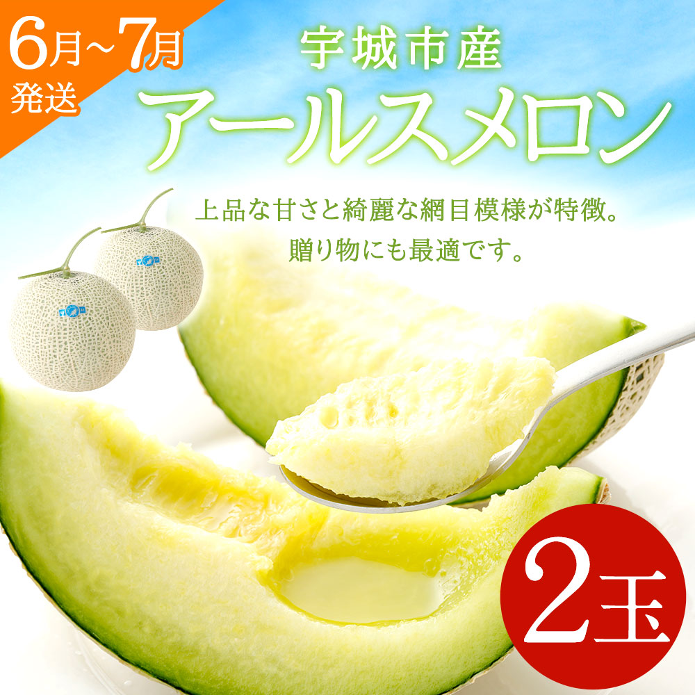 ふるさと納税 宇城京師独創 アールス瓜 2お玉 3kg以上 6お月様 7月積だし 借りきる取引 1玉適中1 5kg 2kg メロン 果物 フルーツ 冷蔵 熊本県産 国産 貨物輸送無料 Cannes Encheres Com