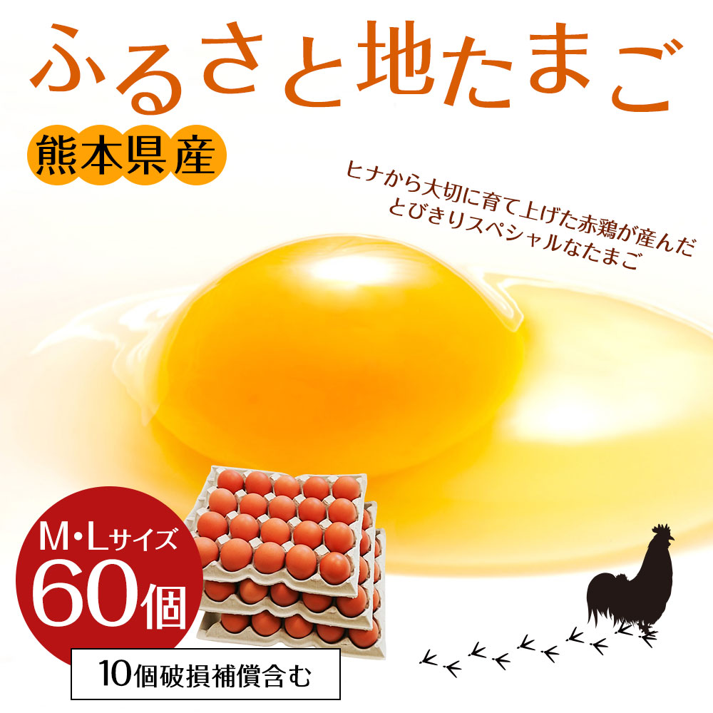 日本最級 ふるさと地たまご 60個入り 10個破損補償含む 赤たまご 60個 M Lサイズ混合 国産 卵 冷蔵 産地直送 鶏卵 送料無料 Fucoa Cl