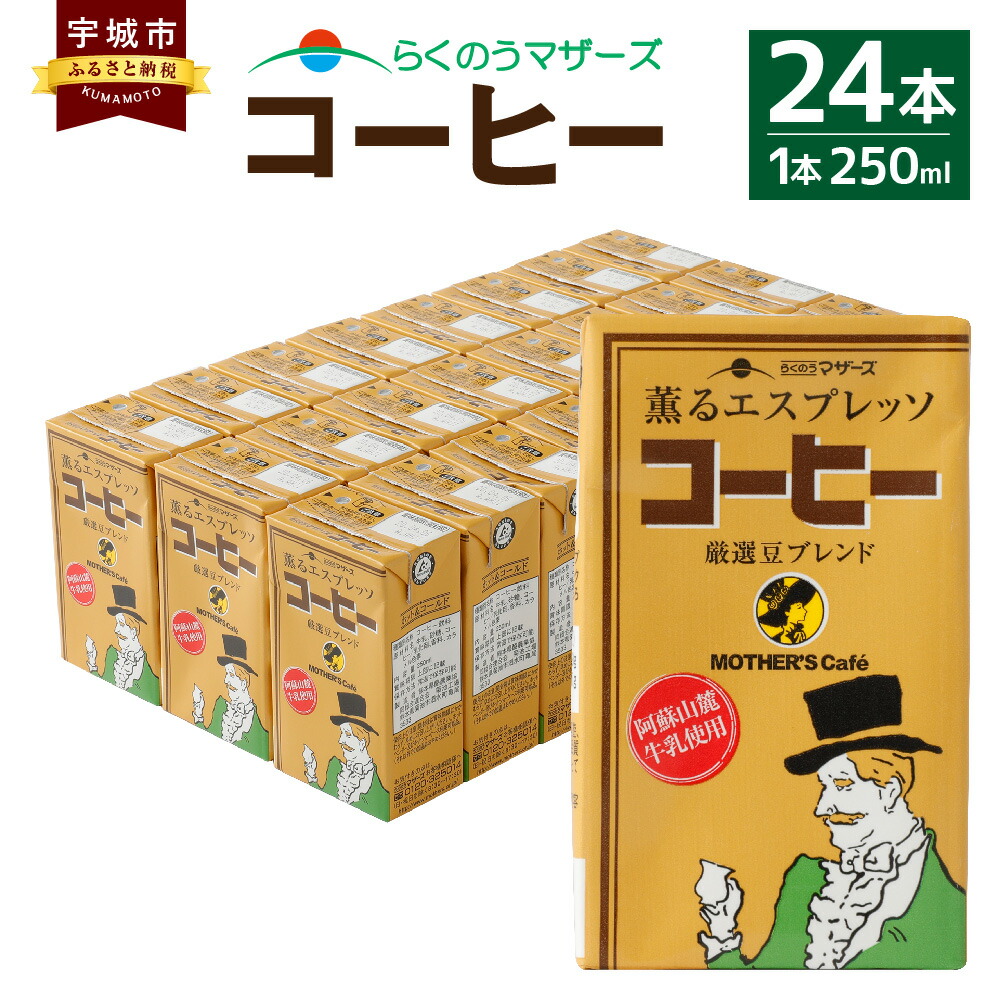 お買得 コーヒー 24本 250ml 24本 1ケース コーヒー牛乳 カフェオレ 珈琲 乳飲料 乳性飲料 らくのうマザーズ ドリンク 飲み物 飲料 セット 紙パック 常温保存可能 ロングライフ 春新作の Www Purpleforparents Us