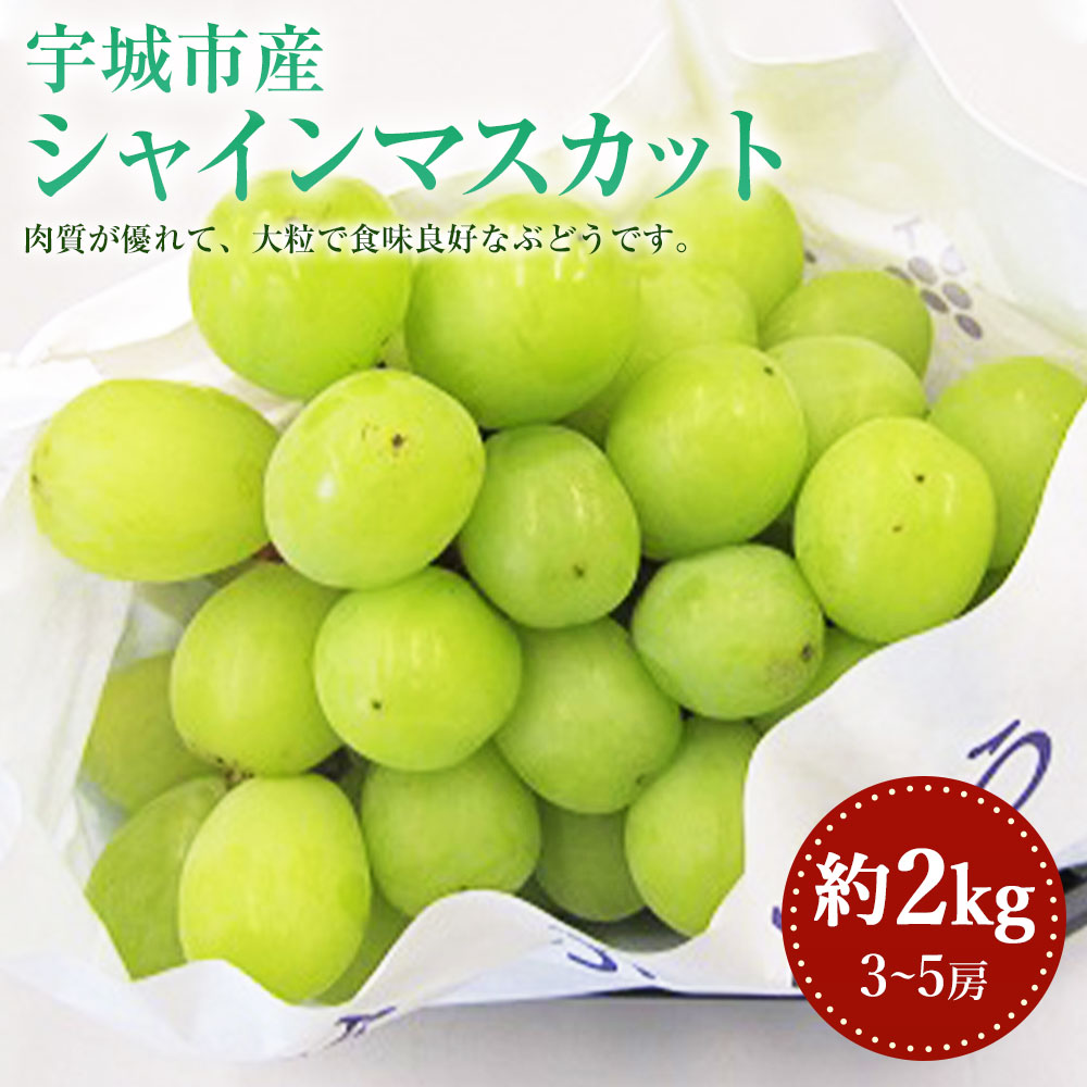 売れ筋ランキングも掲載中！ ふるさと納税 先行予約シャインマスカット約2kg 3~5房 2EA1 福岡県川崎町