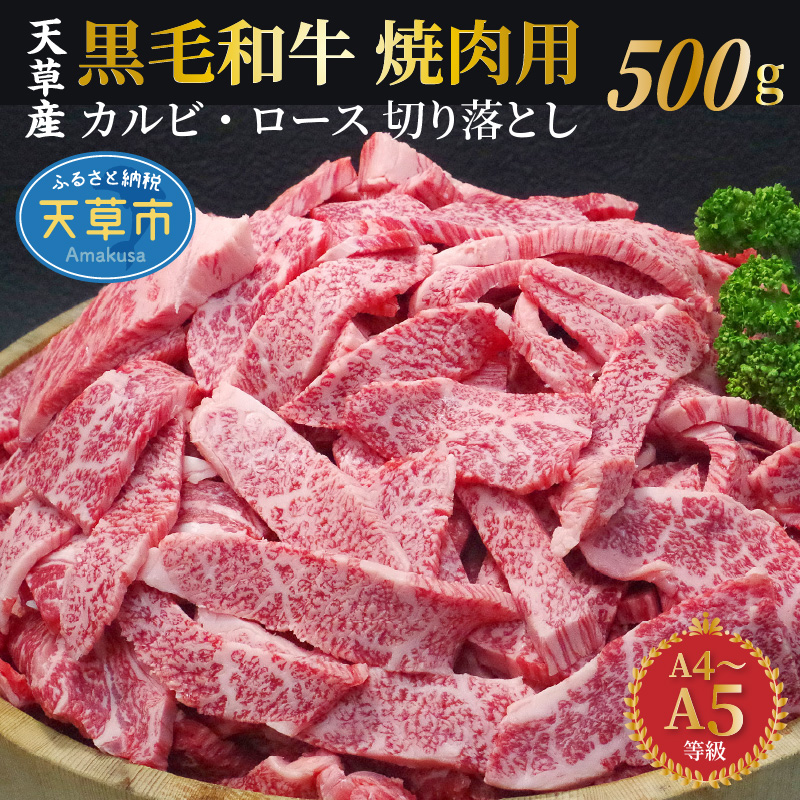 楽天市場 ふるさと納税 黒毛和牛 焼肉 牛肉 切り落とし カルビ ロース 500g A4 A5 田中畜産 熊本県天草市