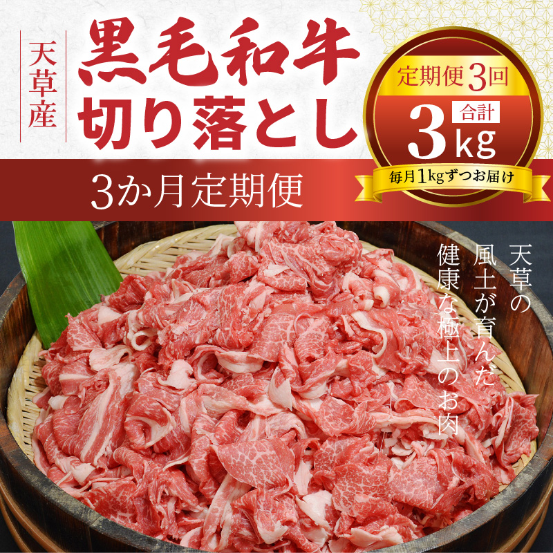 楽天市場 ふるさと納税 定期便3回 熊本県天草産 A5ランク黒毛和牛切り落とし3か月連続お届け 熊本県天草市