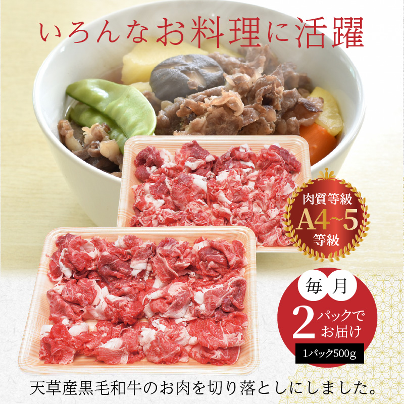 楽天市場 ふるさと納税 定期便 3回 黒毛和牛 切り落とし 牛肉 1kg A5 小分け 3ヵ月連続お届け 田中畜産 熊本県天草市