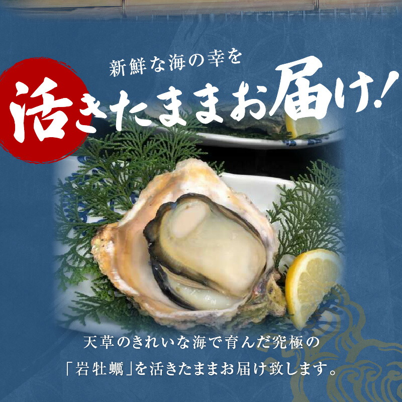 77%OFF!】 牡蠣 岩かき 約 3kg 殻付き 加熱用 焼きカキ 蒸しカキ 海鮮 魚貝類 新鮮 qdtek.vn