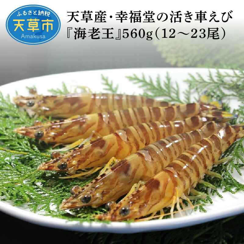 当店は最高な サービスを提供します ふるさと納税 殻だし 生うに 120g 60g×2本 熊本県天草産ムラサキウニ 無塩 無添加 ウニ 雲丹 熊本県上 天草市 materialworldblog.com