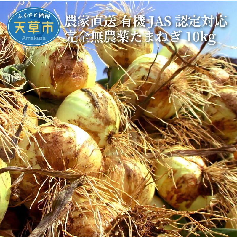 たまねぎ 10kg 農家直送 こだわり 野菜 新鮮 旬