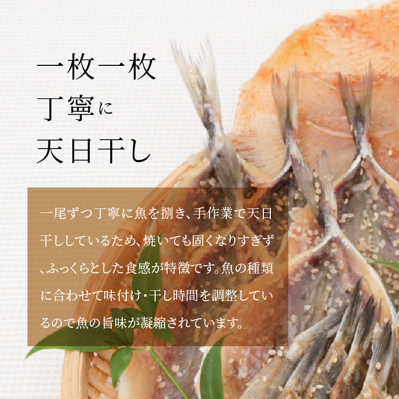 楽天市場 ふるさと納税 干物 セット 旬 あじ さば えそ 魚 魚貝類 新鮮 熊本県天草市