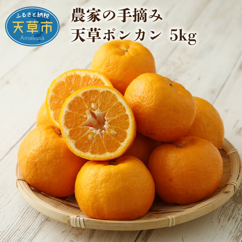 楽天市場】【ふるさと納税】先行予約 天草ポンカン 約 7.5kg