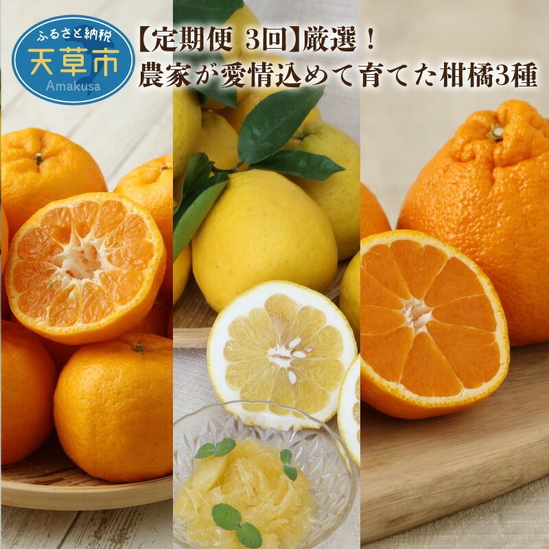 楽天市場】【ふるさと納税】訳あり 定期便 3回 柑橘3種類 計24kg ポンカン 10kg 不知火 5kg 晩柑 9kg 甘み 酸味 むきやすい  さっぱり 柑橘 フルーツ 果物 たっぷり 天草 お取り寄せ お取り寄せグルメ 常温 予約受付 送料無料 : 熊本県天草市