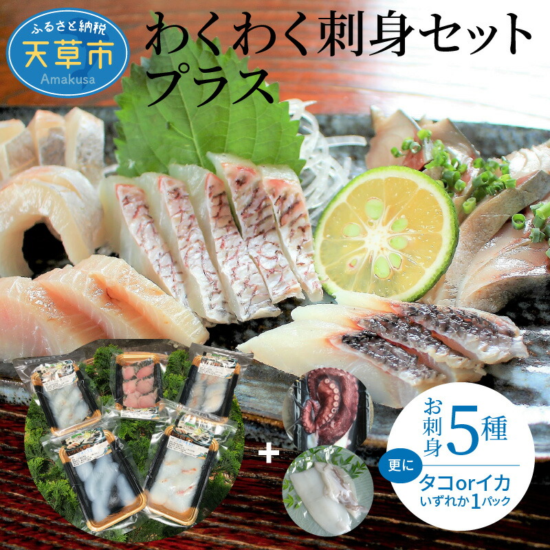 楽天市場】【ふるさと納税】鮮魚 セット 海の幸 旬 魚 詰合せ 海水シャーベット 定置網 獲れたて 指定日 可 : 熊本県天草市