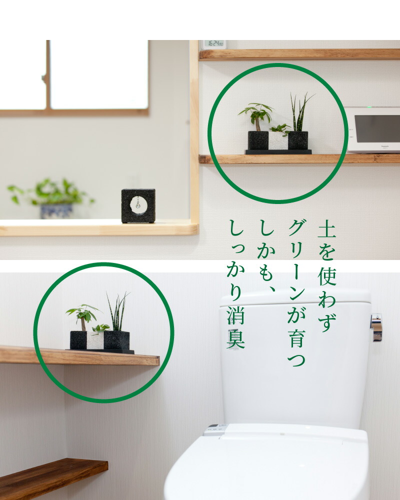 観葉植物 0mm 80mm 230mm パキラ ギフト 分解 土無し 消臭 世界初 癒し 天草 熊本 送料無料 植物 ハイブリッド消臭 おしゃれ インテリア 消臭グリーン ペペロミア 竹炭 天然素材 サンスベリア