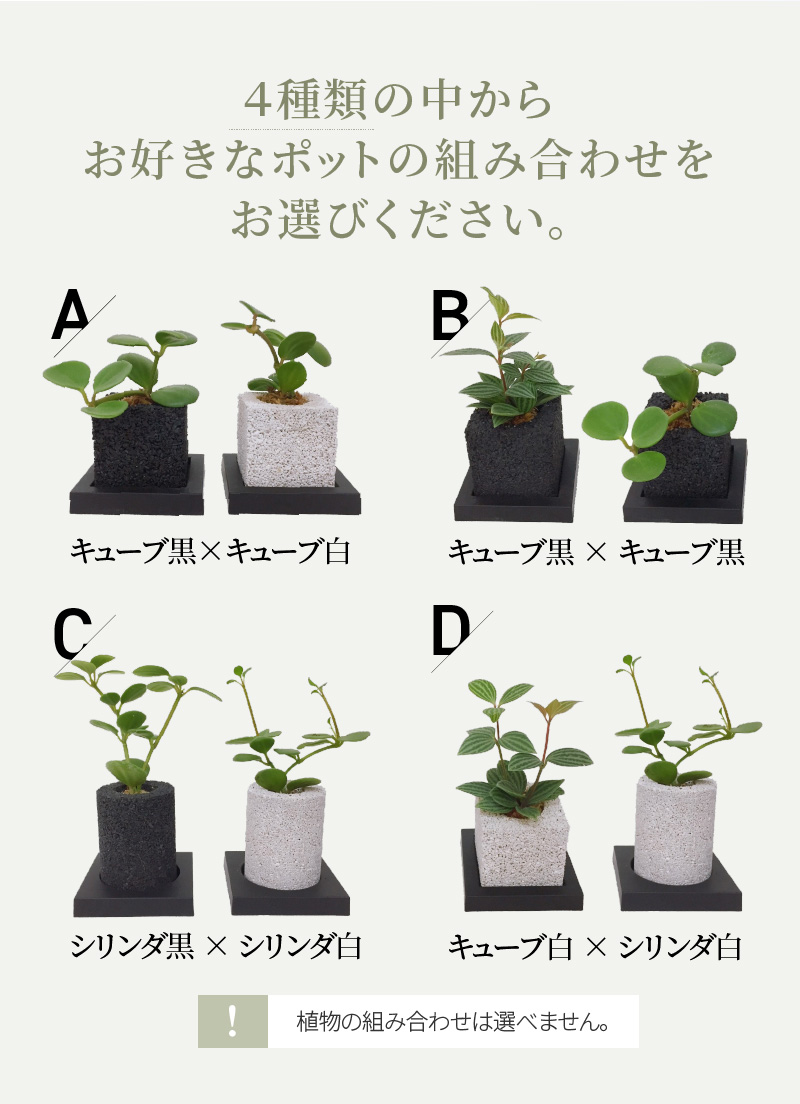 ふるさと納税 選べる エコポチ トイレット 2個セット Onpointchiro Com