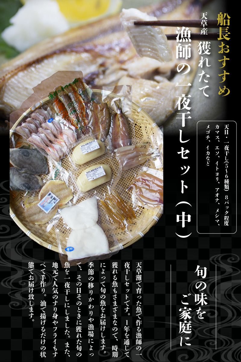 無料長期保証 船長おすすめ 天草産 獲れたて漁師の一夜干しセット 中 熊本県天草市w 驚きの値段 E Compostela Gob Mx