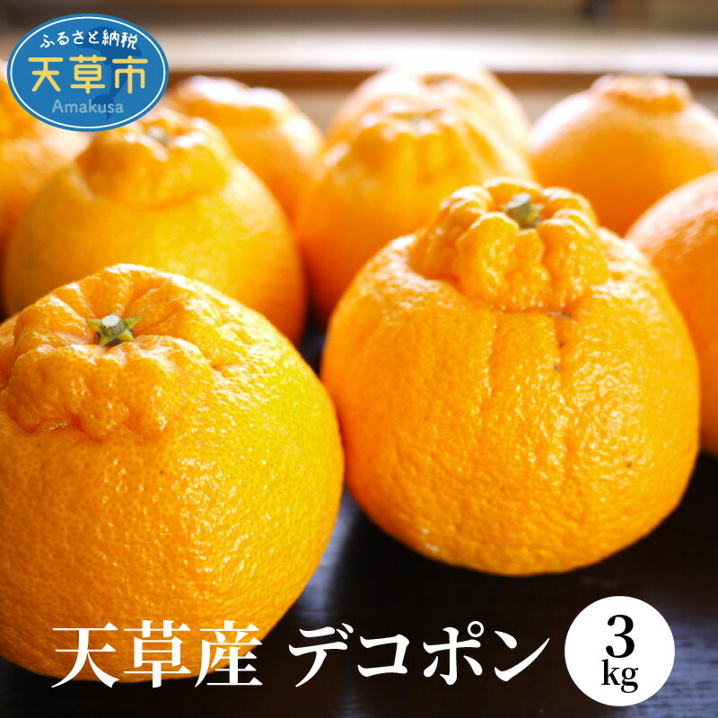 ふるさと納税 天草産 デコポン 3kg 先行予約 Optimistyouthfootball Com