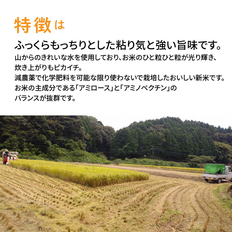 楽天市場 ふるさと納税 熊本県天草産 天草の大地の恵み 新米コシヒカリ12kg 熊本県天草市