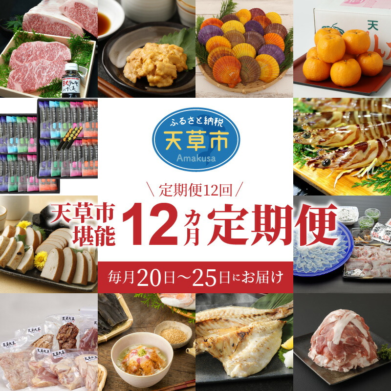 史上最も激安 定期便12回 天草市堪能12ヵ月定期便 オープニング大放出セール Er Busurucukursu Com Tr
