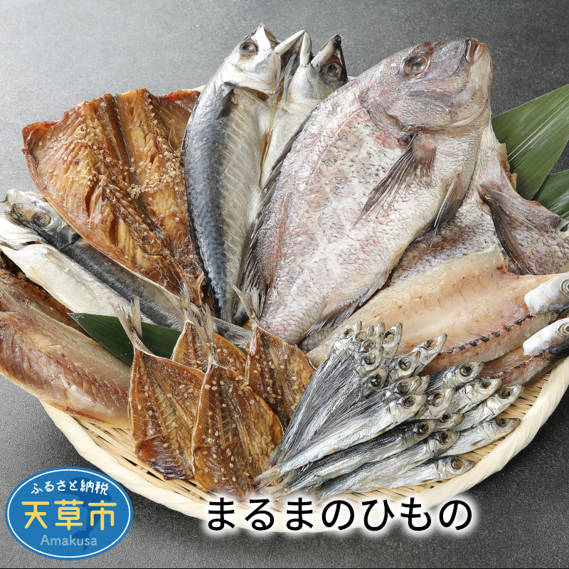 楽天市場】【ふるさと納税】鮮魚 セット 海の幸 旬 魚 詰合せ 海水シャーベット 定置網 獲れたて 指定日 可 : 熊本県天草市