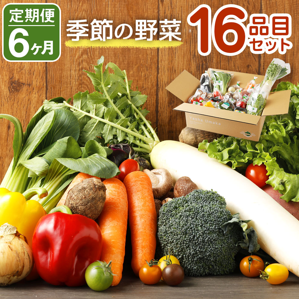【ふるさと納税】【定期便6回】 季節の野菜 16品目 セット 定期便 6ヶ月連続 野菜 やさい 詰め合わせ 旬の野菜 ランダム おまかせ 冷蔵 国産  春 旬 春野菜 送料無料
