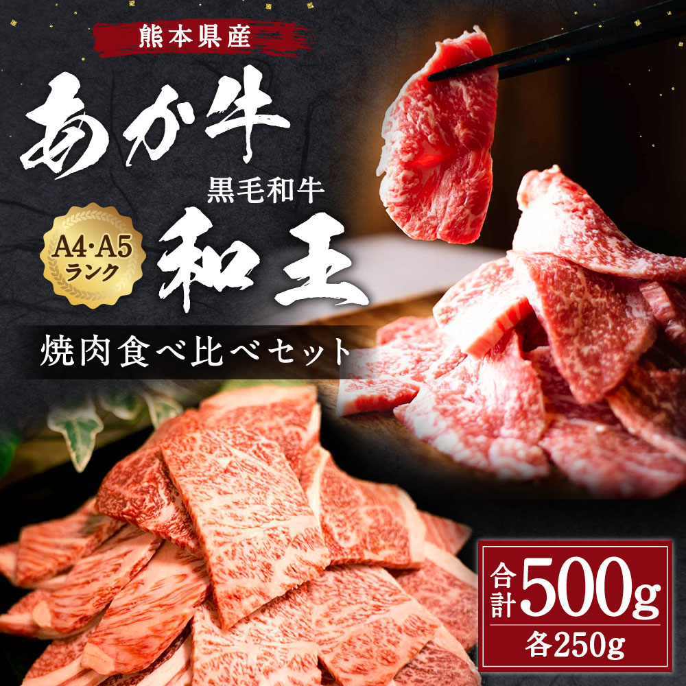 9750円 Sale 56 Off ふるさと納税 熊本県産 黒毛和牛 和王 モモ