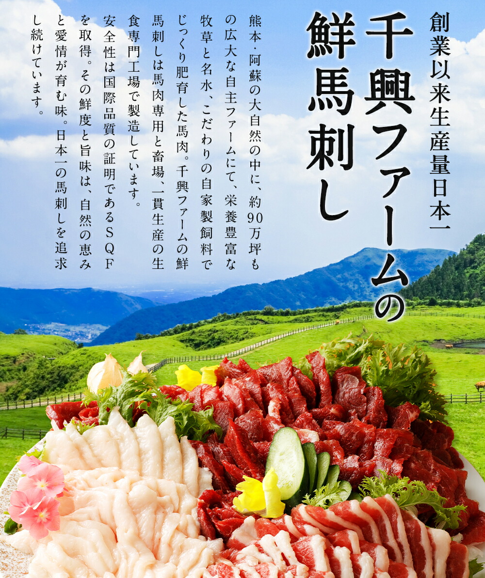 馬スジ ふるさと納税 合計約1kg セット 真空パック 惣菜 ふるさと納税 真空パック ハンバーグ 鮮馬刺し惣菜10種セット 馬もつ 鮮馬刺し惣菜10種セット 送料無料 熊本県益城町簡単 個食ですぐ解凍するだけで すぐに食べられる馬肉づくしのセット 馬刺しは