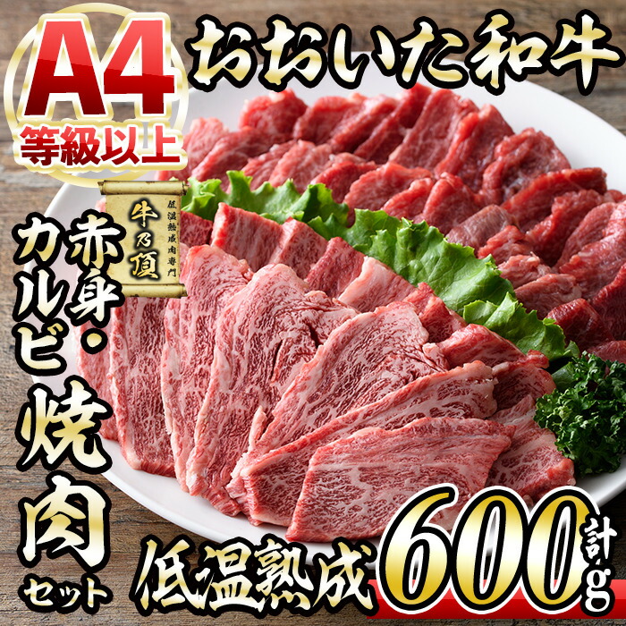 【ふるさと納税】おおいた和牛 特選 焼肉 セット (合計600g・赤身300g+カルビ300g) 国産 牛肉 肉 霜降り 低温熟成 A4 和牛 ブランド牛 カルビ BBQ 冷凍 大分県 佐伯市【DH214】【(株)ネクサ】|大分県佐伯市