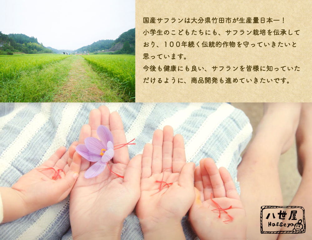 人気 ふるさと納税 国産 サフラン 0 5g 栽培用球根 10個 セット ハーブ ドライハーブ スパイス 調味料 香辛料 球根 花芯 香り 花 フラワー 大分県産 送料無料 Sferavisia Hr