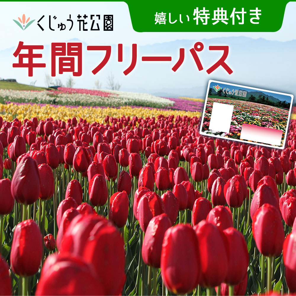 楽天市場 ふるさと納税 くじゅう花公園 年間フリーパス 特典付き チケット 利用券 体験 自然 イベント 大分県 竹田市 久住 送料無料 大分県竹田市 楽天市場 ふるさと納税 くじゅう花公園 年間フリーパス 特典付き チケット 利用券 体験 自然 イベント 大分県 竹田市 久住 送料無料 大分県竹田市