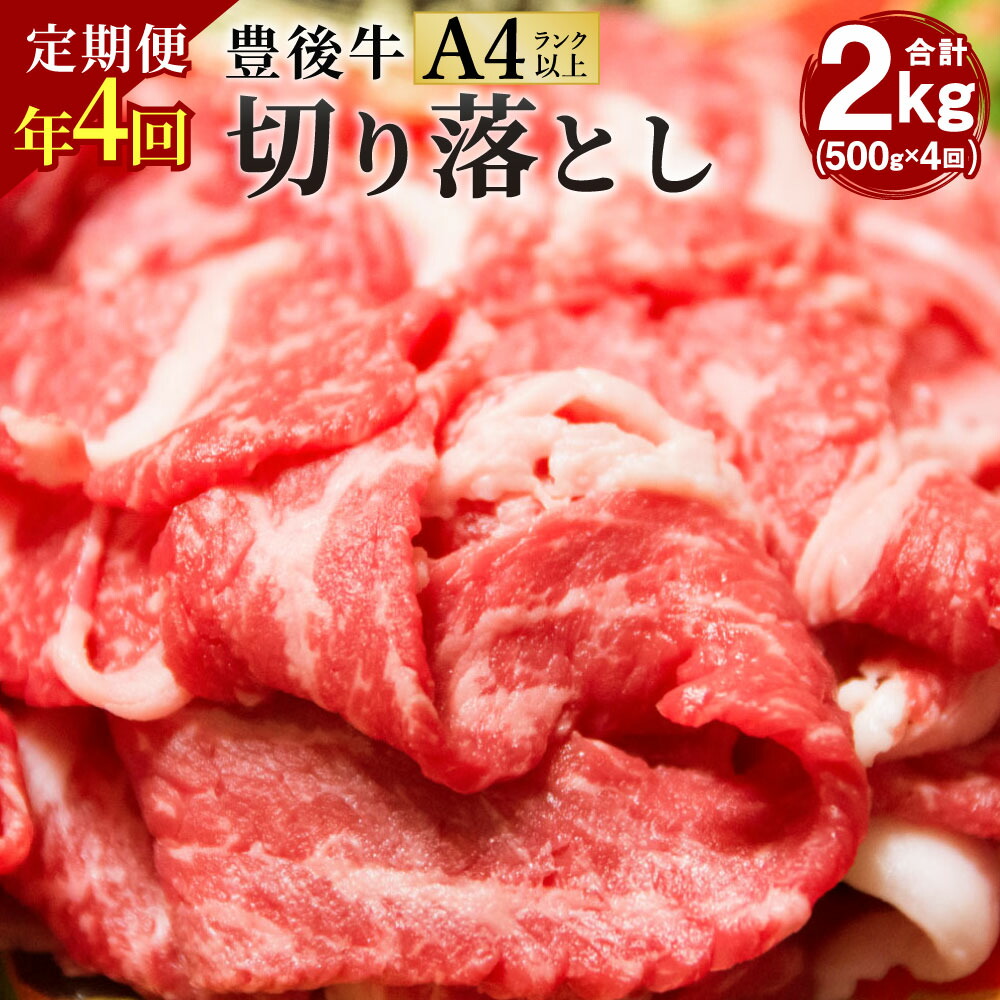 国産品 【ふるさと納税】【定期便4回】豊後牛 切り落とし 合計2kg 500g×4回 正統派黒毛和牛 竹田 おおいた豊後牛 黒毛和牛 和牛 牛肉 A4 ランク以上 切落し 小間切れ 小分け 定期便 2月?5月?8月?11月にお届け 冷凍 すき焼き 肉じゃが しゃぶしゃぶ 九州産 国産 送料無料 ...