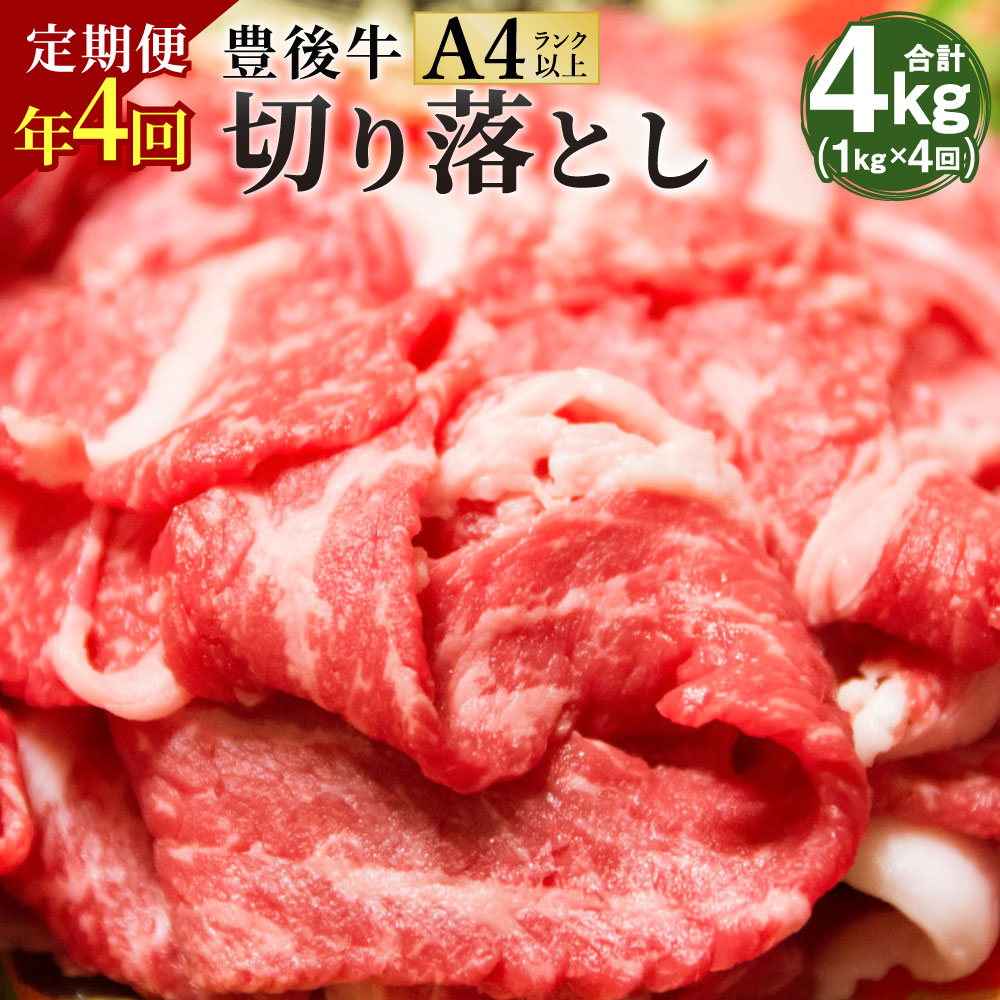 【ふるさと納税】【定期便4回】豊後牛 切り落とし 合計4kg 1kg×4回 正統派黒毛和牛 竹田 おおいた豊後牛 黒毛和牛 和牛 牛肉 A4ランク以上 切落し 小間切れ 小分け 定期便 2月・5月・8月・11月にお届け 冷凍 九州産 国産 送料無料
