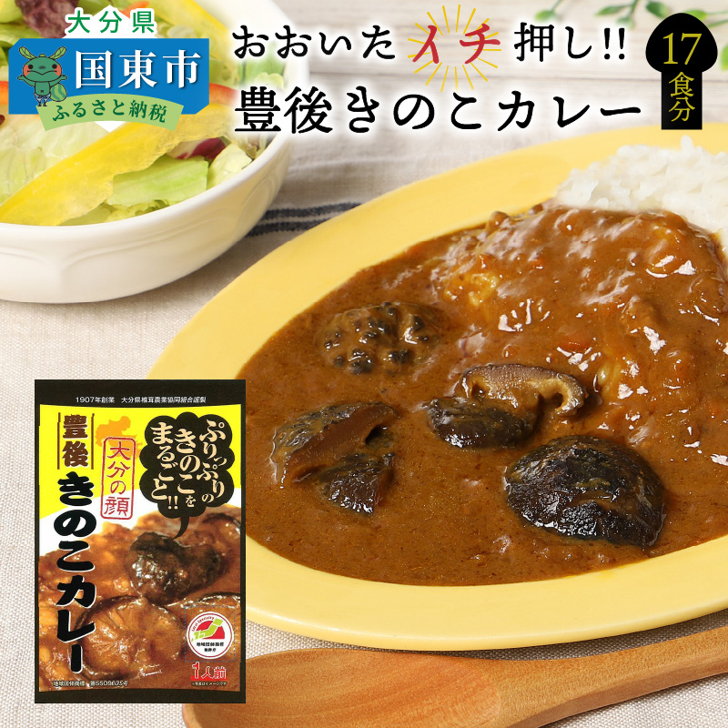 ふるさと納税 カレー おおいたイチ押し 豊後きのこカレー17食分 大分県国東市ご当地レトルトカレーランキング準グランプリの逸品