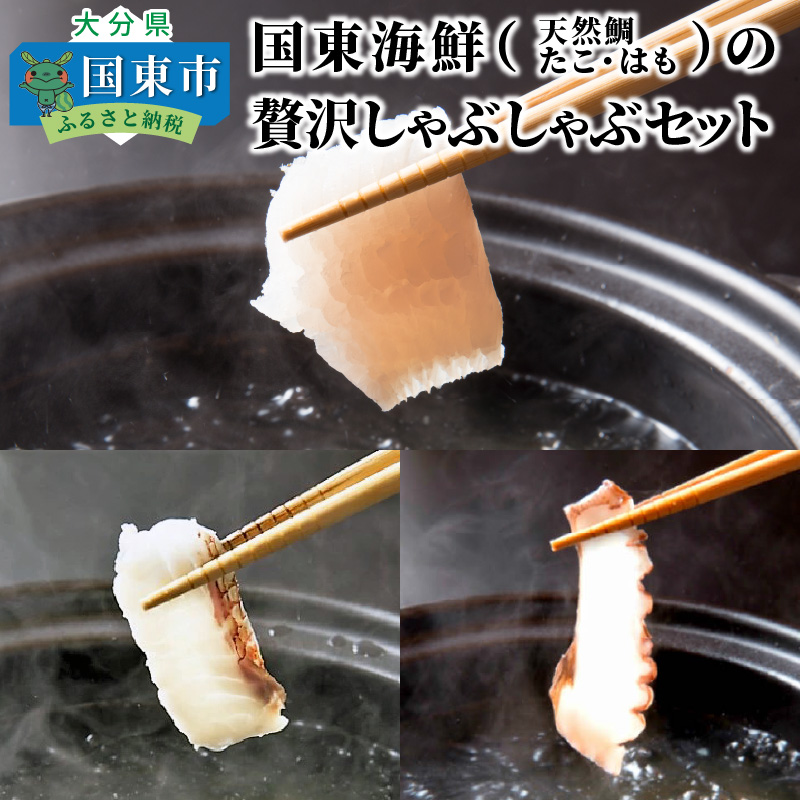 楽天市場】【ふるさと納税】たこ ボイル 1kg 200g×5パック 姫だこ 国東 国産 大分 伊予灘 国東半島 小分け 獲れたて 急速冷凍 無添加  刺身 からあげ ステーキ たこ焼き 真空包装 真空パック 真空 茹でダコ お取り寄せ グルメ 送料無料 : 大分県国東市