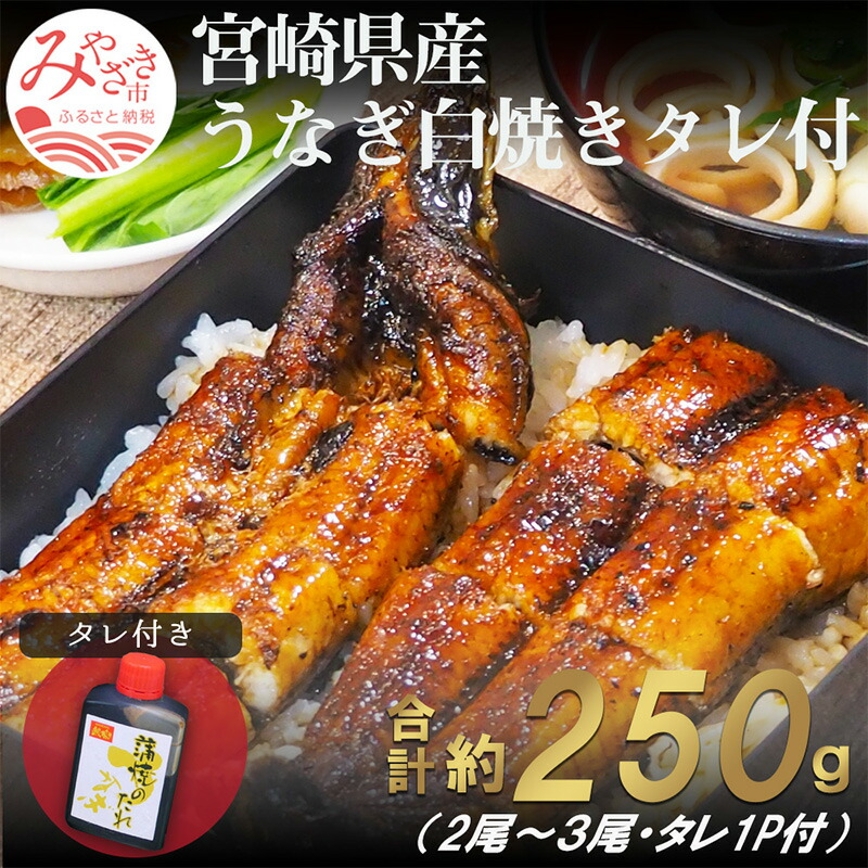 クリアランスバーゲン 期間限定開催 宮崎県 うなぎ鰻蒲焼 炭火焼 大サイズ11枚セット 圧倒的高評価 Www Cens451sanfernando Com Ar