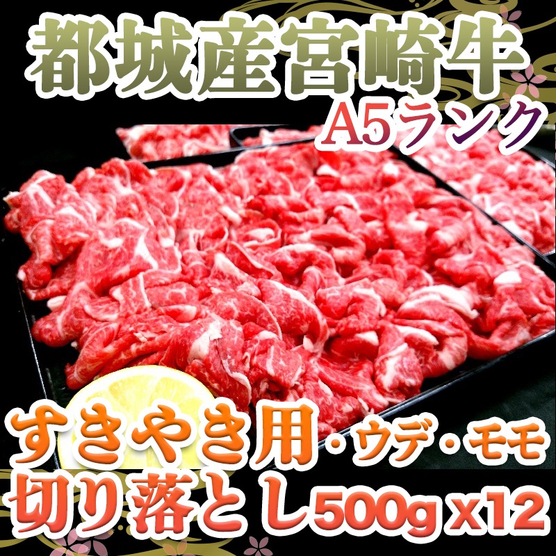 SALE開催中 都城産宮崎牛ウデ モモ切り落とし すき焼き用 A5 ランク - 宮崎牛うで もも切り落とし肉 500g×12 合計6キロ 小分けパック  真空パック 腕 腿 最高級牛肉 黒毛和牛 ギフト 贈答用 送料無料 MC-0115 turbonetce.com.br