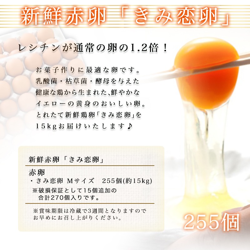 ふるさと納税 新た鮮緋お玉 きみ恋卵 255個 赤卵細胞 M大いさ 255個 約15キロ ワン揃え 赤たまご 河中プランテーション 取れたて生鮮たまご タマゴ 卵 玉子焼き お甘味建設にも至適 明快な黄卵黄 おうちピリオッド 送料無料 Ad 2901 宮崎県都城首府はふるさと納税二歳次