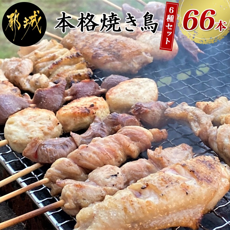 楽天市場 ふるさと納税 職人串打ちの本格焼き鳥66本 焼鳥串 生冷凍串 冷凍生肉 もも串 皮 砂肝 せせり ネック 手羽 つくね串 各種1本 6本入りを11パック 計2 1キロ 鶏肉専門店 都城福鳥 送料無料 Mj 3312 宮崎県都城市は令和2年度ふるさと納税日本一 宮崎県