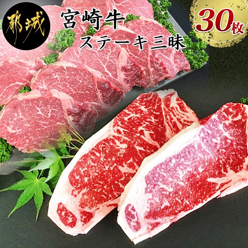 宅送 楽天市場 ふるさと納税 都城産宮崎牛ステーキ三昧 30枚 牛肉 美しい霜降りのサーロインステーキ 0ｇ 枚 脂肪が少なく上品なヒレステーキ 300ｇ 10枚 合計30枚 送料無料 Mn 41 宮崎 県都城市はふるさと納税二年連続日本一 宮崎県都城市