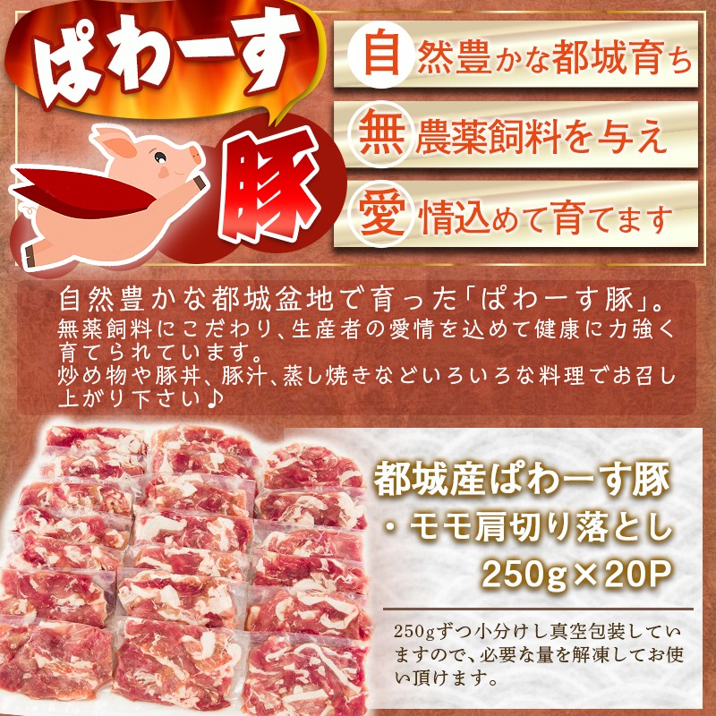 市場 ふるさと納税 豚モモ肩切落とし肉 モモ肩切り落とし5kg ぱわーす豚 250g×20パック 計5キロ 都城産豚肉 ブランドポーク -