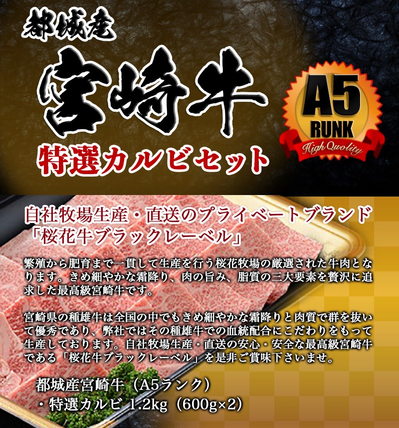 人気が高い 都城産宮崎牛特選カルビセット A5 ランク 牛肉 A5ランク 5等級 特選カルビ肉 600グラム 2パック 合計1 2キロ 安心 安全 国産黒毛和牛 ブランド牛 牛カルビ Mb 6502 宮崎県都城市はふるさと納税二年連続日本一 限定価格セール Ekonomik Rs